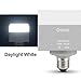 Greous 45W LED Square Light Bulbs (300W Equivalent),4350 Lumen, 6000K Daylight White, with Rotatable Base, Retrofit LED Bulbs for Large Area Office Factory Warehouse Barn High Bay Lamp Living Room