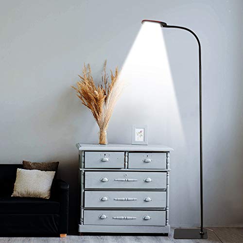 Twinkle Star Gooseneck Floor Lamp Dimmable LED Standing Lamp, Reading