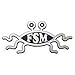 Ring of Fire Enterprises Flying Spaghetti Monster Car Emblem