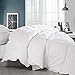 Balichun Premium Goose Down Comforter Queen- Solid White - Soft 1500 Thread Count Cotton Shell - 750 Fill Power - Down Duvet Insert with Tabs (White, Queen)