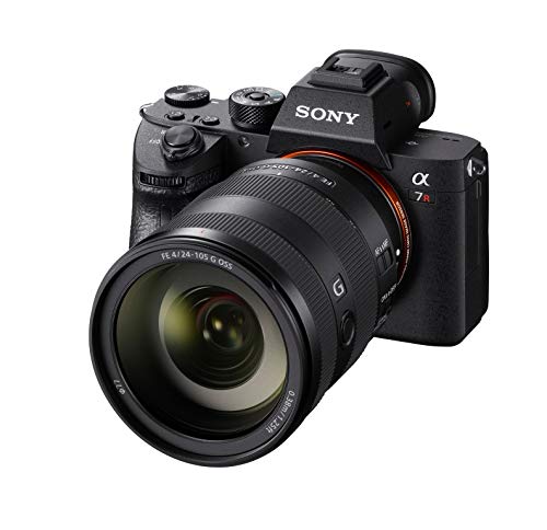 4 Sony+24+105mm+Standard+Zoom+SEL24105G