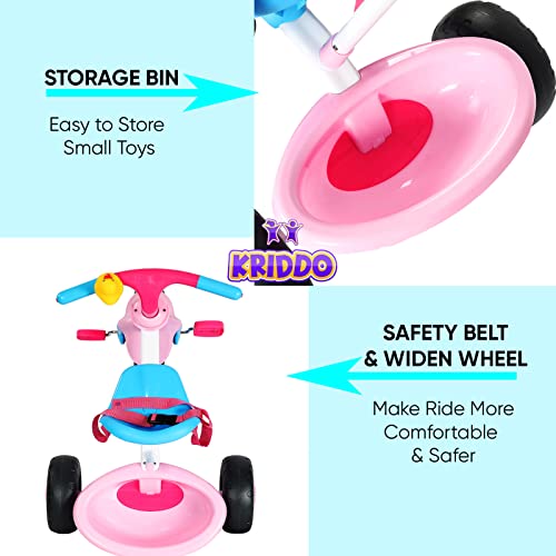 KRIDDO 2 in 1 Kids Tricycles Age 18 Month to 3 Years, Gift Toddler