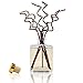 HOUZZ Interior Sandalwood & Blue Sage Essential Oil Reed Diffuser Set | Sandalwood, Crisp Bergamot, Lavender & Fresh Garden Sage | Great Living Room Scent
