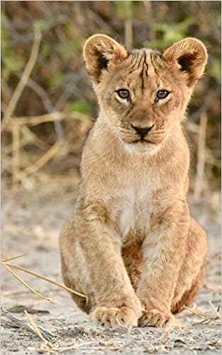 Notebook Lion Cub 5 X 8 150 Ruled Pages Wild Pages Press Amazon Com Books