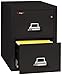Fireking Fireproof Vertical File Cabinet (2 Legal Sized Drawers, Impact Resistant, Waterproof), 27.75