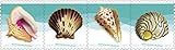 Seashells Postcard Stamp USPS Forever Stamps, Roll of 100 - US Postage Card Stamps