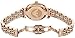 Emporio Armani Women's Stainless Steel Watch (Model: AR1909)