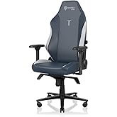 Secretlab Titan Evo Royal Gaming Chair - Reclining, Ergonomic 
Comfortable Computer Chair with 4D Armrests, Magnetic Head Pi