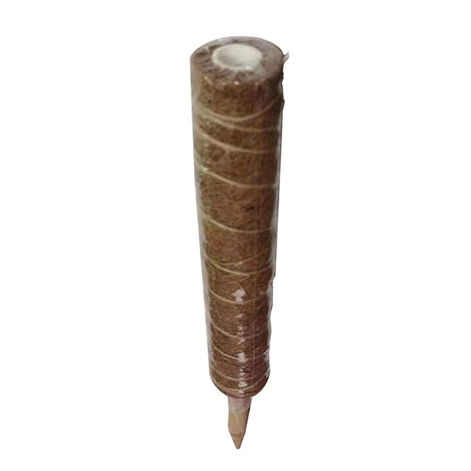 Beimaji Trade A Soporte de Poste de Musgo para Plantas trepadoras ...