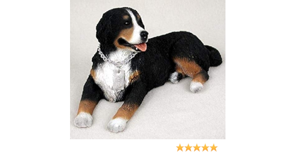 amazon commercial with bernese mountain dog