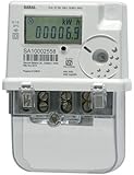 Dynamique Secure Single Phase Net Meter