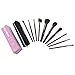Allewie Makeup Brushes Set 10pcs Nylon Bristles Wooden Handle 1 Free Black Bag Professional Cosmetic Brushes for Eyeshadow , Foundation , Lip , Concealer , Powder and Other Makeup