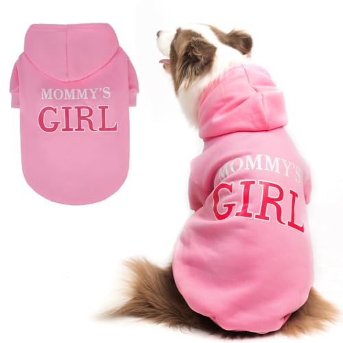 BINGPET Dog Hoodie
