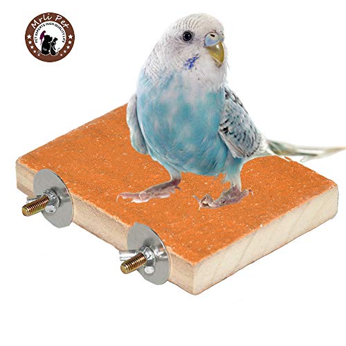 Top 10 Bird Perches For Parrots of 2020 No Place Called Home