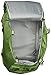 Osprey Porter Travel Backpack Bag, Nitro Green, 46-Liter