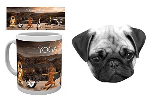 Set Cani Dogs Yoga In Posizione Del Cane A Testa In Su