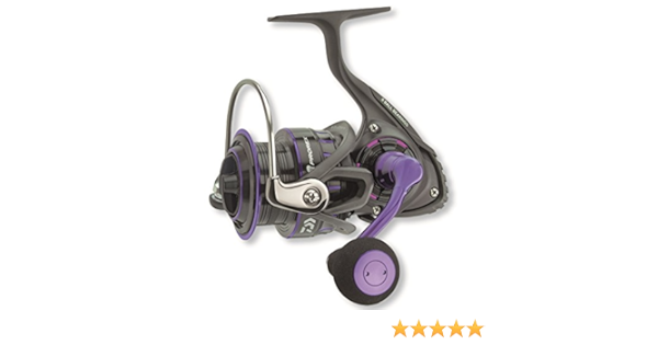 daiwa prorex xr 300