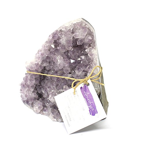 Amethyst Cluster Cut Base - Geode Crystal w/ Rock Paradise Exclusive COA (2 ~ 3 lb)