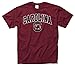 South Carolina Gamecocks Arch with Logo T-Shirt