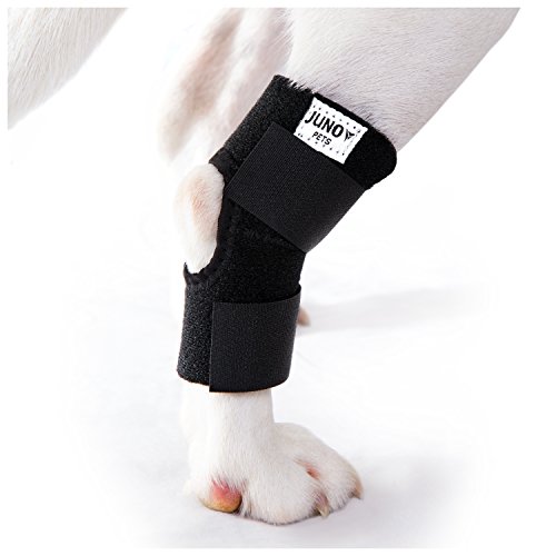 Top 10 Best Horse Leg Wraps For Arthritis Best of 2018 Reviews No