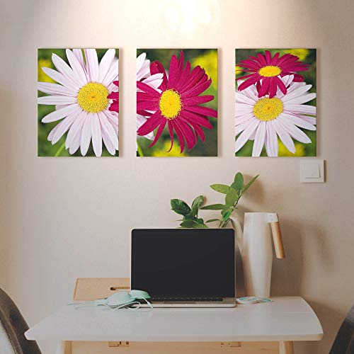 White and Red Daisies Canvas Print for Living Room Chrysanthemum Wall Art Decor Painting Pictures Artwork (12x16inch x3pcs)