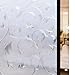 rabbitgoo Window Privacy Film, Frosted Glass Window Film Decorative for Glass, Sun UV Blocking Static Cling Floral Door Covering, Removable House Tint, 3D Vine Pattern, 35.4