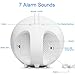 Alarm Clock,BeautyFlower Sunrise Simulation Wake-Up Light Alarm Clocks, 6 Colors Atmosphere Lamp, Morning Wake-Up Alarm Light with Nature Sounds & FM Radio,Touch Control,Upgrade Voice Quality.