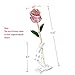DEFAITH Real Rose 24K Gold Dipped, Forever Gifts for Wife Girlfriend Fiancee Her Valentines Day Anniversary Wedding and Marriage Proposal, Attractive Luster and Natural Shape with Crescent Stand
