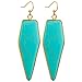 SUNYIK Women's Green Howlite Turquoise Healing Point Dangle Earrings