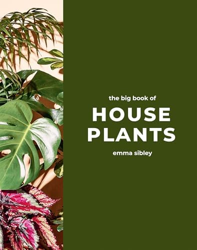 Ultimate Wonder Plants: Your Urban Jungle Interior: Schampaert