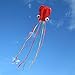 Hengda Kite-Pack 2 Colors Beautiful Large Easy Flyer Kite for Kids-Software Octopus-It's Big! 31 Inches Wide with Long Tail 157 Inches Long-Perfect for Beach or Park by Hengda kite