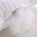 EvZ Premium Stuffer Pillow Insert Sham Square Form Polyester, 22