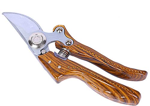 Manual Pruning Shears, Hand Scissors with Ergonomic Handles, Perfect for Any Garden – Sharp Rose Scissors