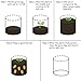Becko 3-Pack 8 Gallon Plant Grow Bag/Plant Pot Potato Grow Bags, with Breathing Pores, Drainage Holes, Flip-Over Window Designthumb 3