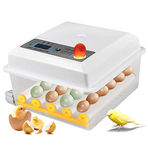 Motorbrüter Hühner Brutapparat, Digitale Eier Brutschrank, Temperatur Und Feuchtigkeitsregulierung Digitale Anzeige Für…