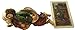 Westmon Works Sleeping St Joseph Statue and Holy Card with Prayer to Saint, 8 Inch