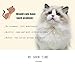 CHUKCHI Heart Bling Cat Collar with Safety Belt and Bell 8-11 Inches(Pink)