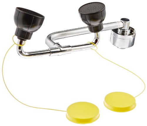 Bradley S19-270E Swing Activated Safety Eye/Face Wash Unit, Cabinet Mount, 3 GPM Water Flow , 12" Length x 5-1/2" Height - Thumbnail 2