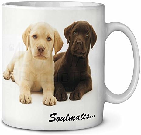 mug puppies