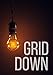 Grid Down- How To Survive And Protect Your Family In A Powerless World