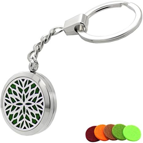 Gergroy Aromatherapy Essential Oil Diffuser Key Chain, Stainless Steel Locket Keychain,5 Refill Pads (Style 1)