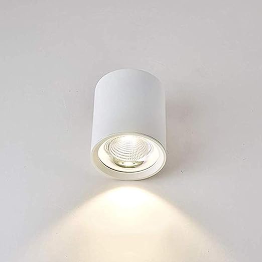 Yaione Led Moderno Techo Foco Luz De Superficie Downlight Montado Antirreflejo Cilindro Blanco Lampara De Techo Foco De Superficie Proyector De Pared Muro Acabado De Niquel Clase Energetica A Amazon Es Iluminacion