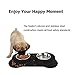 MiNiPet Dog Bowl Stainless Steel Removable Pet Bowls Water Food Feeder With Non Spill and Skid Resistant Silicone Mat Set of 2 Puppy Cats Travel Bowl