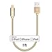 LAX iPhone Charger Lightning Cable - [MFi Certified] 2-Pack Durable Braided Apple Lightning USB Cord for Latest iOS Including iPhone 11, 11 Pro Max, XS Max X / 8/8 Plus & More