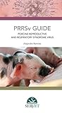 Image de Porcine reproductive and respiratory syndrome PRR
