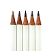 Tombow Irojiten Colored Pencils, Sepia, 5-Pack