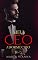 Livro Meu CEO Adormecido: Livro único