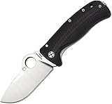Spyderco C181GTIP Lil Lion Spy G-10/Titanium Plain Edge Black G-10/Titanium Handle Knife