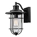 Globe Electric 44094 Turner 1-Light Indoor/Outdoor Wall Sconce, Black with Seeded Glass Shade primary