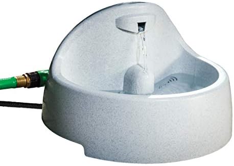 french bulldog x yorkshire terrier